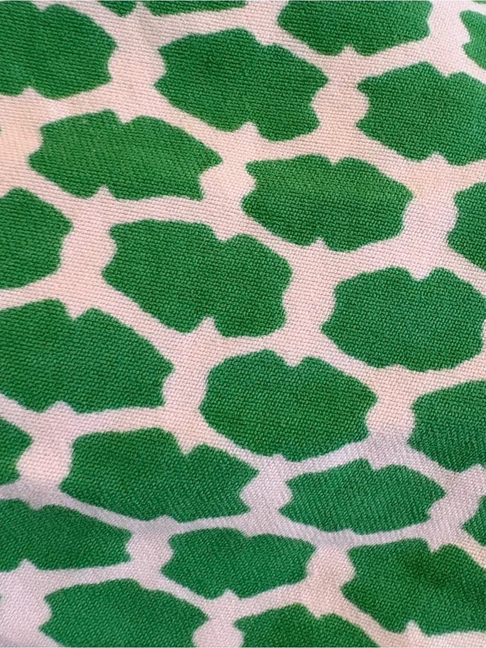 J.Crew Men’s Green Print Swim Trunks Size 36 Preppy
